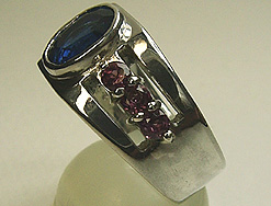 Hs-ring2